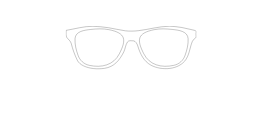 LinguaLens
